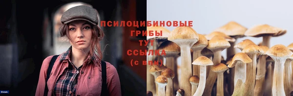 бутират Бронницы