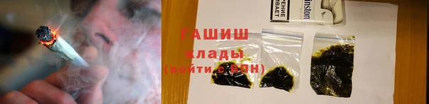 PSILOCYBIN Бородино