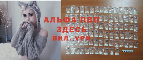 PSILOCYBIN Бородино