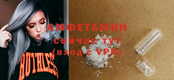 PSILOCYBIN Бородино