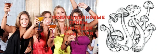 PSILOCYBIN Бородино