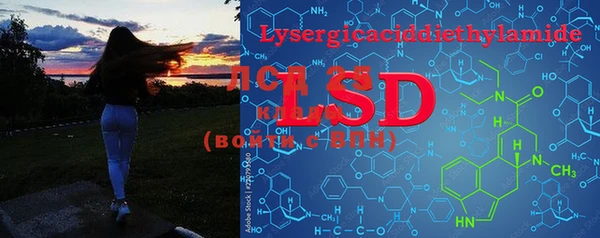 PSILOCYBIN Бородино